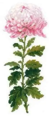 Набор для вышивки сделай сам 14 шт. крестиком домашний декор хризантемы 22-40