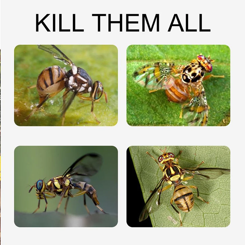 Подвесные шарики летающие ловушки для фруктов липкие Отпугиватель вредителей