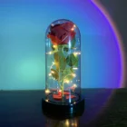 Цветок Красавица и чудовище, светодиодная вечная роза в стеклянной фоторамке для декора, свадебные новогодние подарки для дома