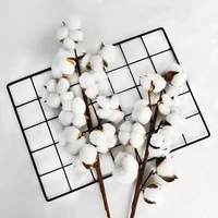 10headsbouquet white dried flowers natural cotton flower branch decorations for home gardening craft wedding floral decor
