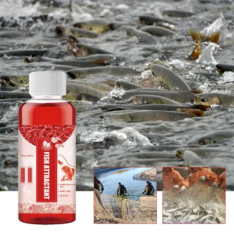 

Red Insect Liquid Three Styles Available Capacity 60ml Fishing Supplies Attractant Persistent Effects Packaging Size 9 3.2cm