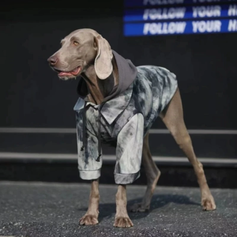 Одежда для собак большие собаки осень и зима теплые золотые волосы лабрадор