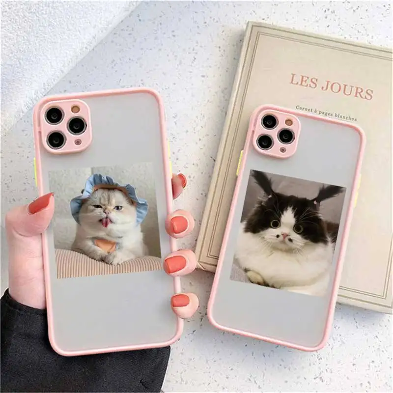 

Cute Cats animal Phone Case matte transparent For iphone 14 11 12 13 plus mini x xs xr pro max cover