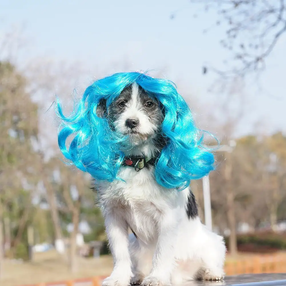 

Blue Curls Pet Dog Cat Wig Costume Black Mane Wig Cap Accessories Headgea Long Dog Clown Cosplay Dog Hat Hat Pet Hair Wig A0A0