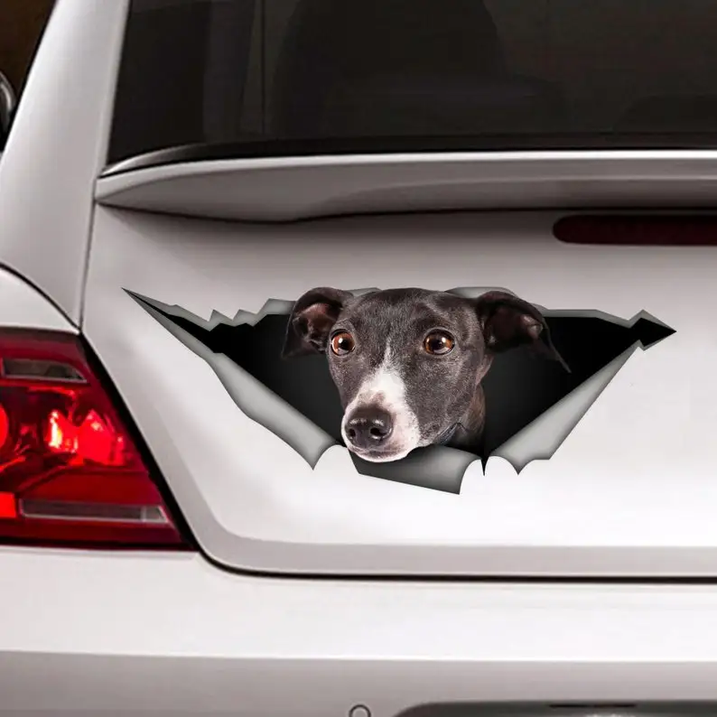 

Greyhound car decal, greyhound sticker
