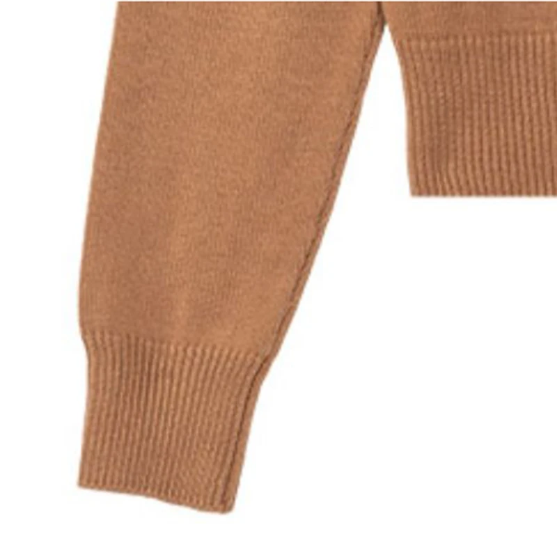 Good Series Cut the Tag off Autumn and Winter Casual Turtleneck Slim fit Knitted Bottoming Shirt Sweater Jv720b/N--