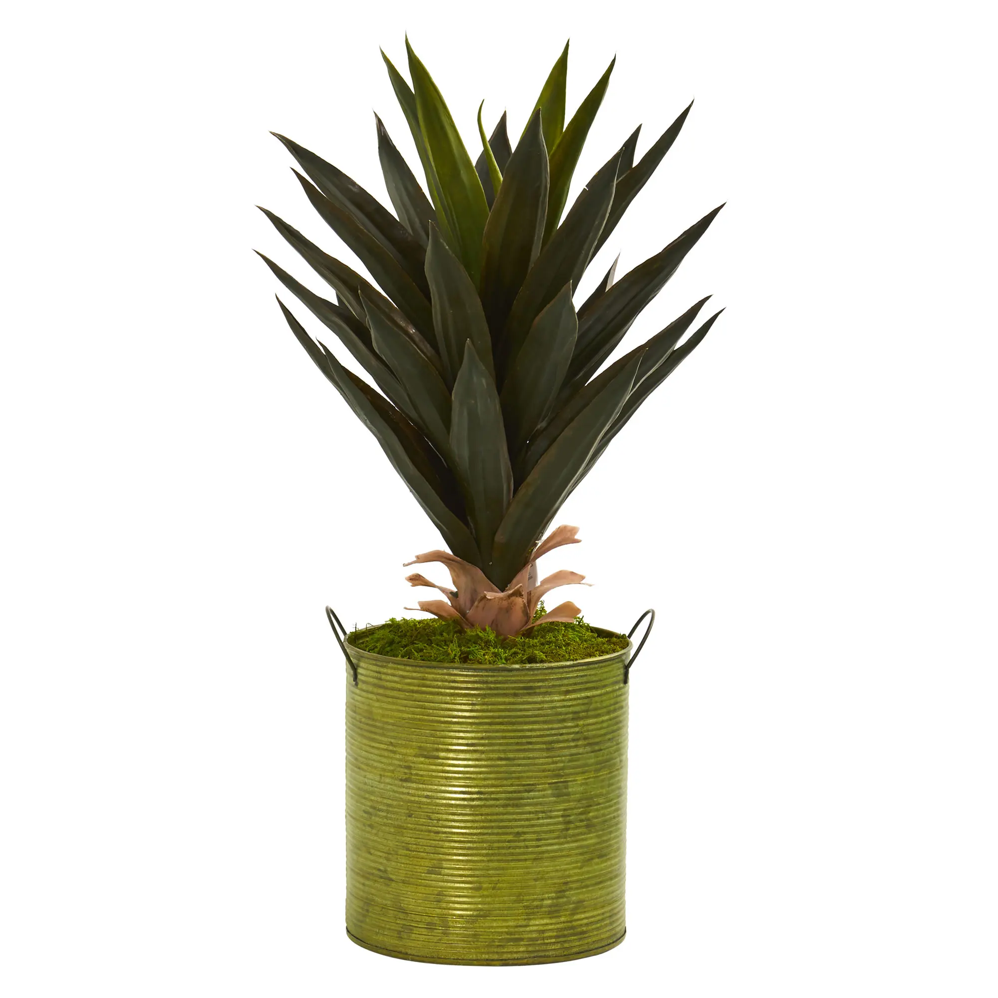 

Free shipping 23” Agave Artificial Plant in Green Metal Planter