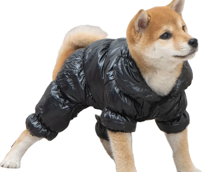 

New arrival in stock wholesale soft warm four leg winter dog clothes