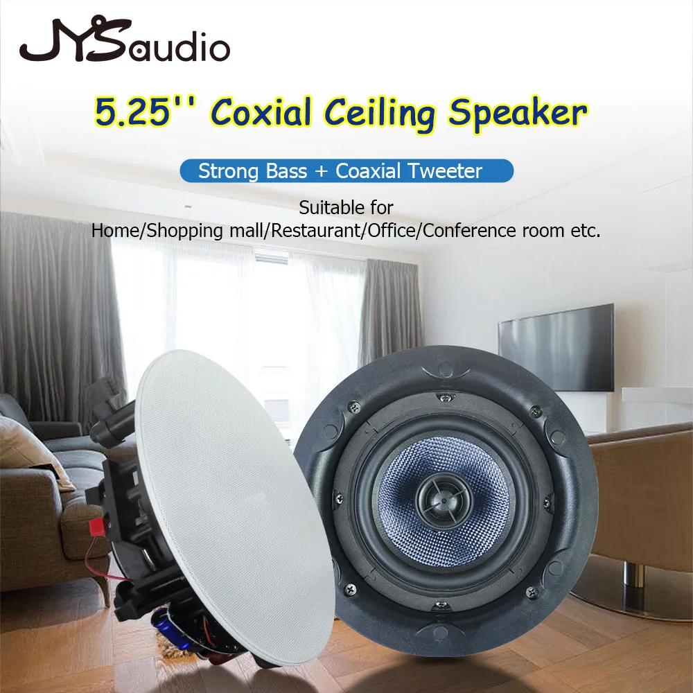 PA Speaker Home Theatre Audio System 25W Background Music Loudspeaker Dual 5.25 Inch Speakers Commercial Dampproof Bathroom