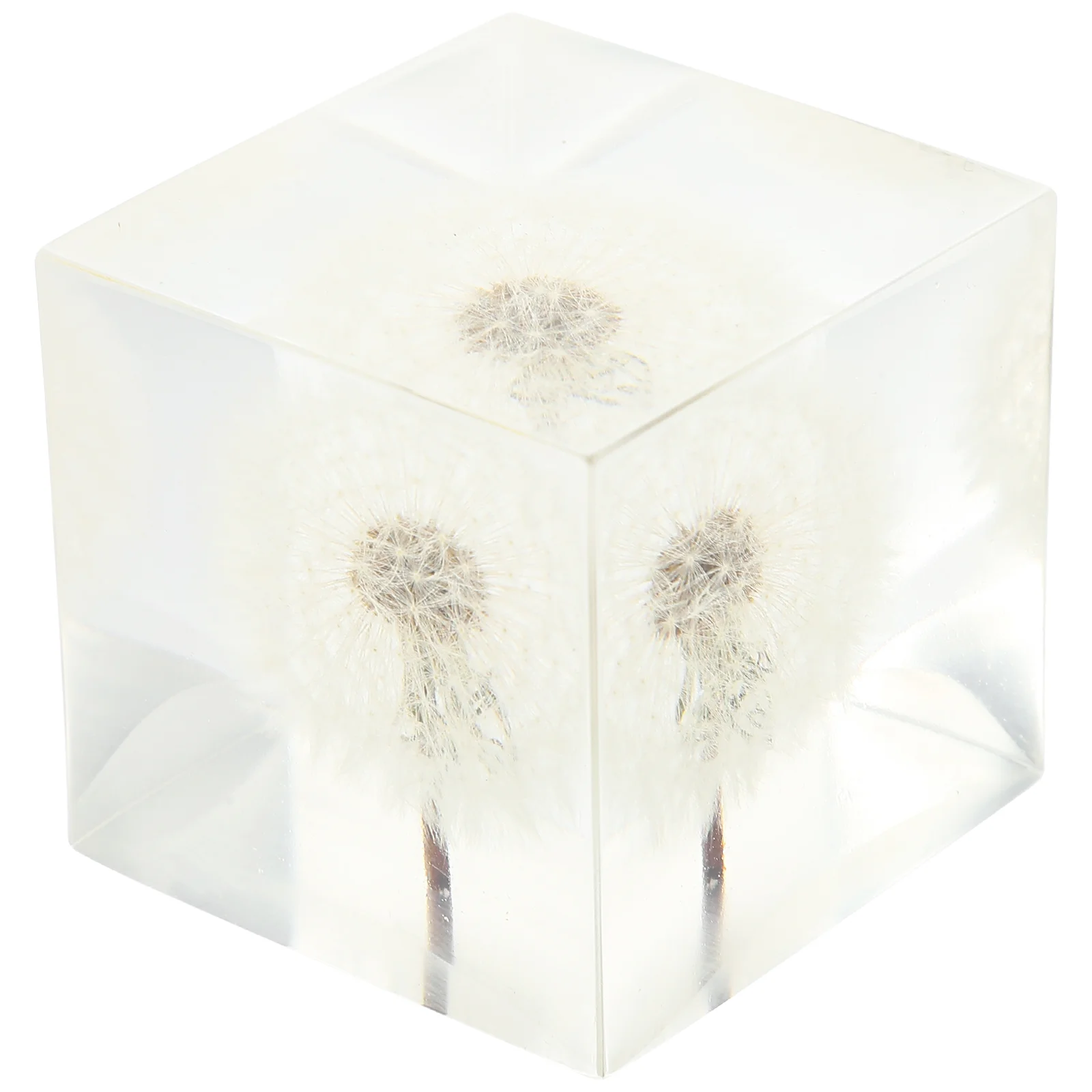 

Crystal Dandelion Cube Paperweight Dandelions Decoration Ornament Figurines Tabletop Flower Office Desktop Figurine Home