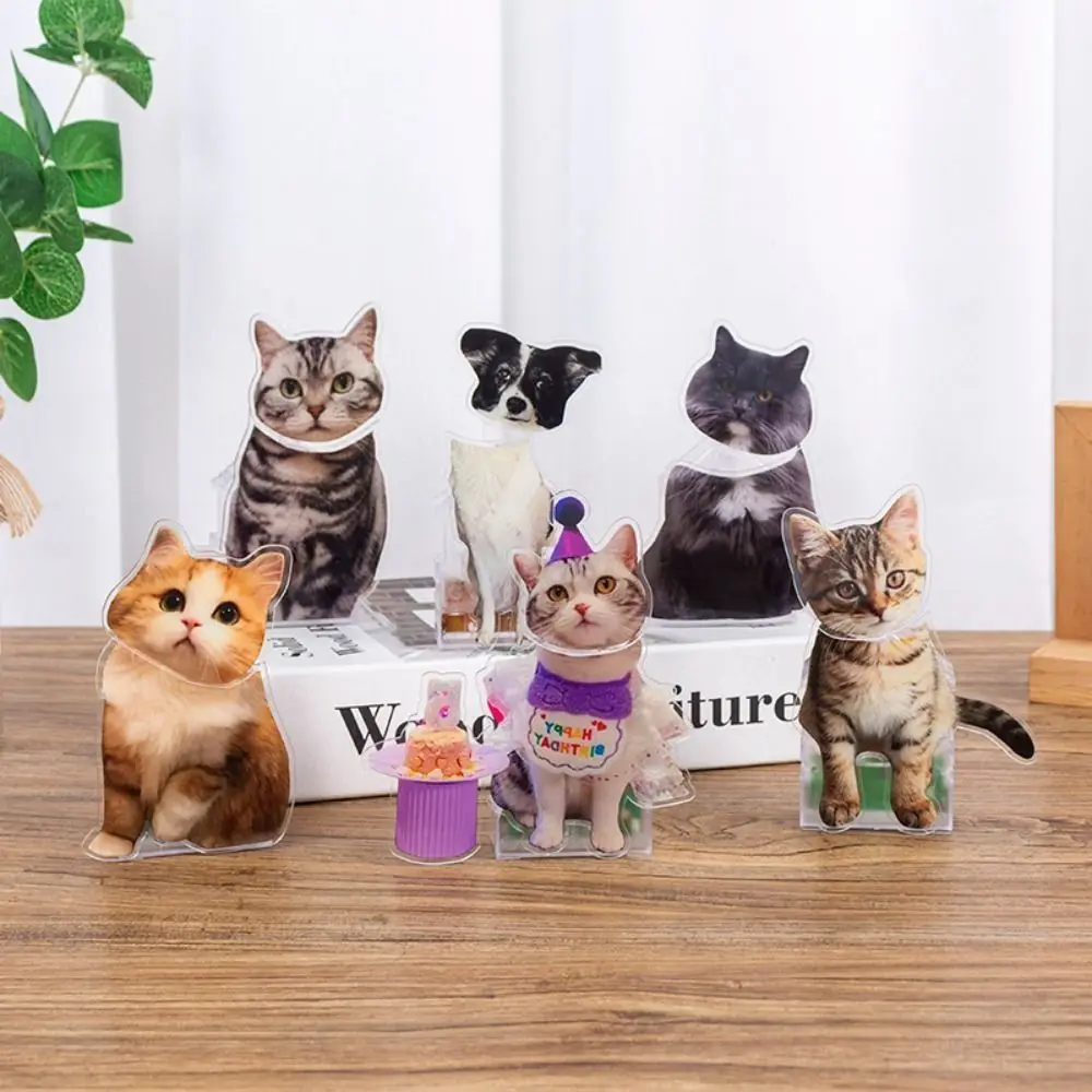 Забавный автомобильный трясущийся головой кошка собака автомобильная