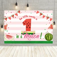 mehofond our little sweetti is one melon birthday party photography backgrounds watermelon baby shower backdrop photo studios