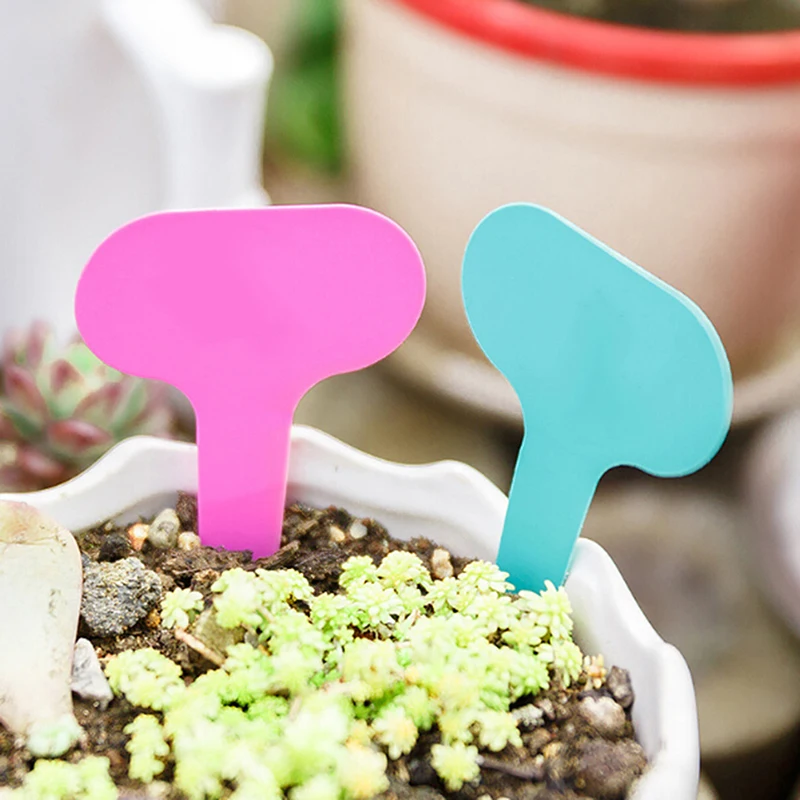 

100pcs 5*7cm Plastic Plant T-Tag Labels For Nursery Garden Lawn Labels Brand New Durable UV Resistant Matte Finish