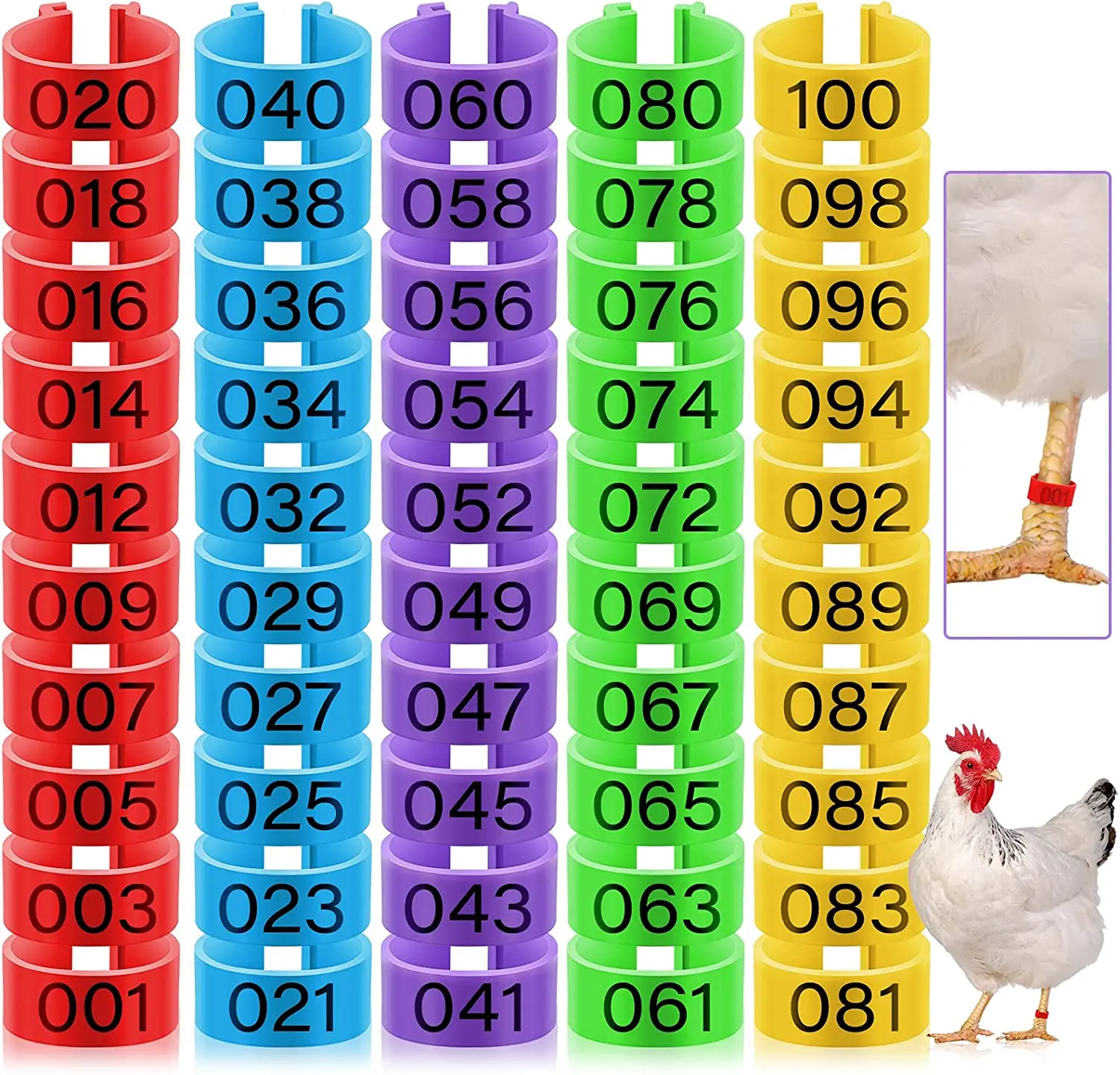 

100 pieces Chicken Leg Rings with 5 Colors Numbered Clip-on Chicken Ankle Rings for Ducks Chicks Chicken Guinea Pigeons Goose