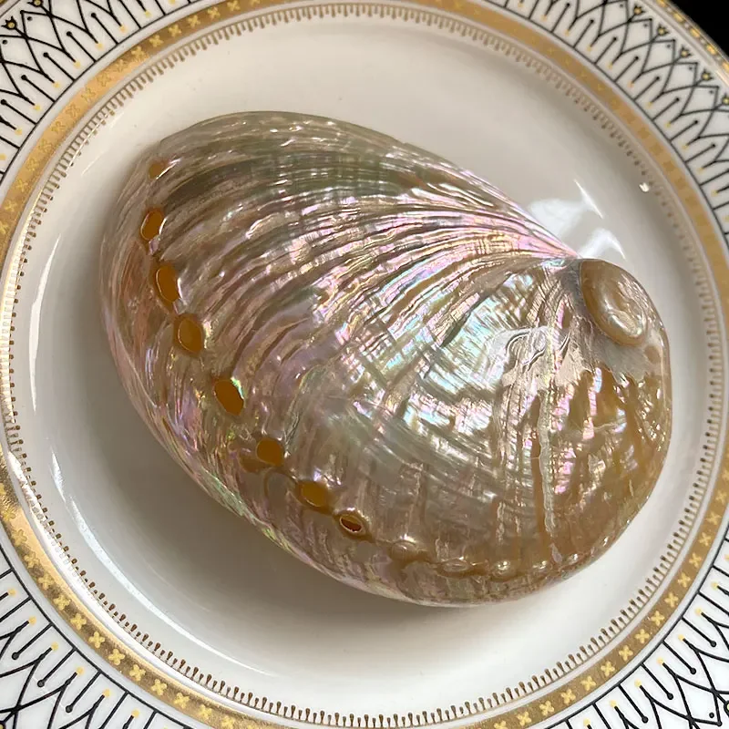 Белый шалфей бриллиант чистый лист для курения лампочка душевной медитации