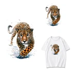 Термоклейкие нашивки для одежды, термоклейкие нашивки для одежды, наклейки сделай сам, нашивка с животными, гибкая плавкая переводная полоса Rock W