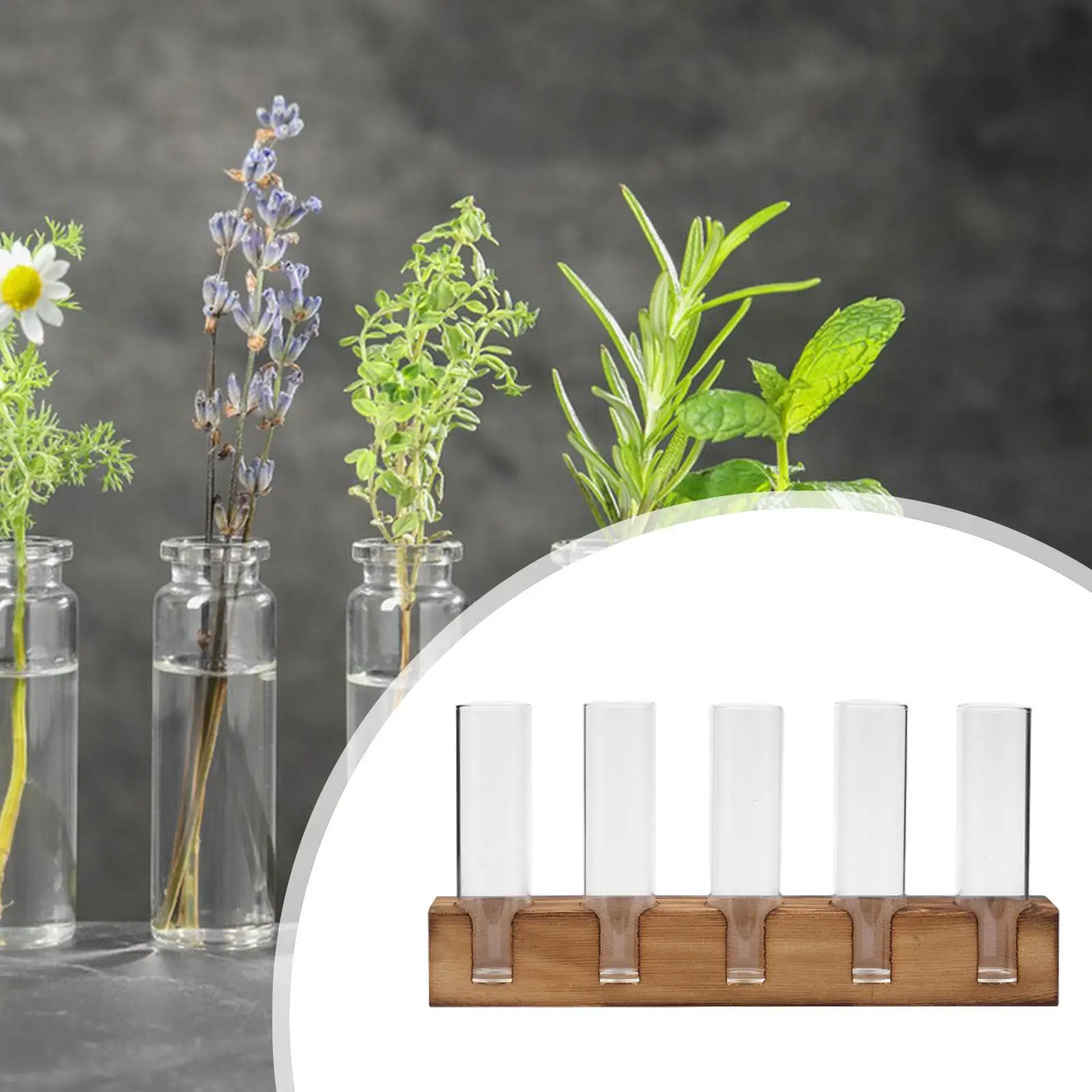 Станция размножения растений держатель для композиции прозрачный горшок