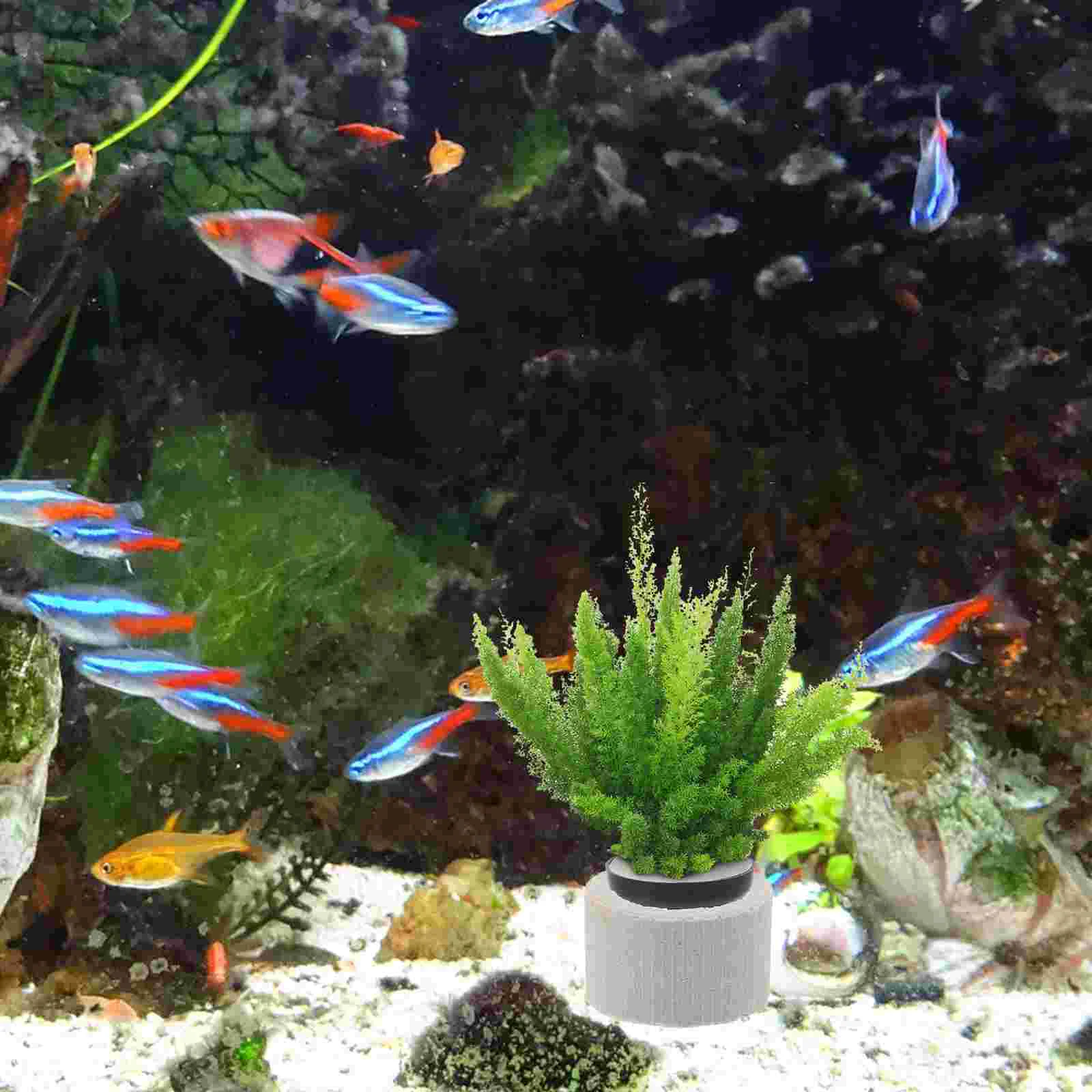 

5 Sets Fish Tank Fix Rings Biological Breathing Flowerpot Aquatic Plant Ceramics Fixed Aquarium Landscaping