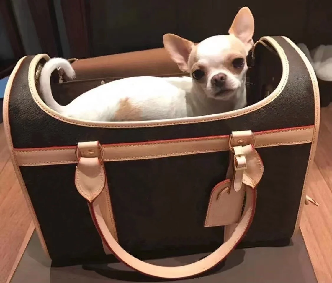 

Wholesale Designer Pet Dog Carrier Backpack Outdoor Travel Luxury Cat Tote