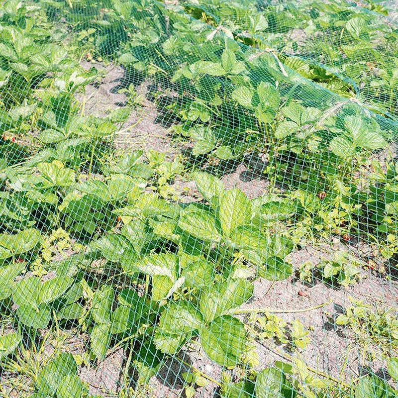 Сетка для садовых птиц многоразовая нейлоновая сетка 13X26 футов защиты фруктовых