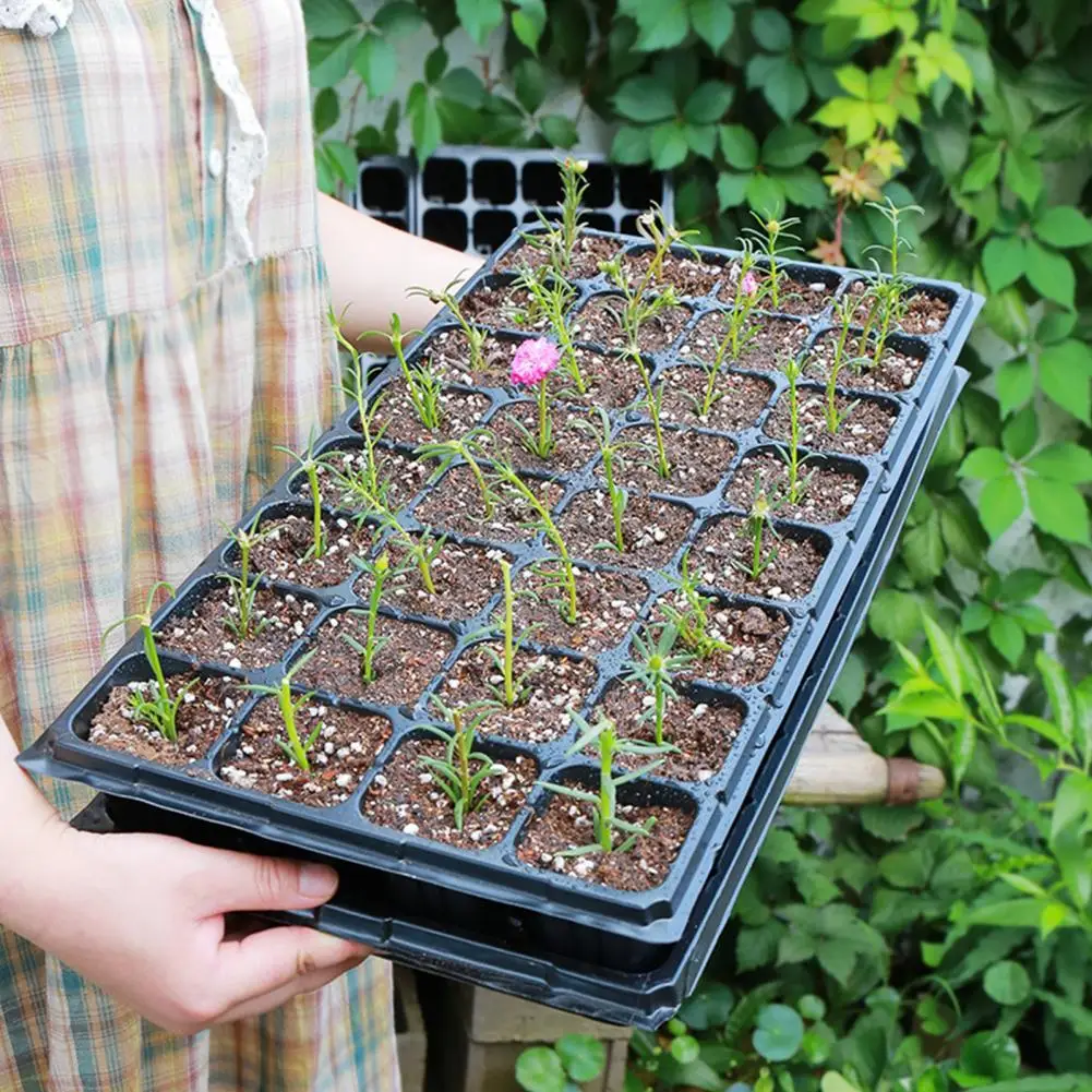 

Anti-deform Attractive Practical Multi-purpose Planting Pot Solid Color Plant Nursery Tray Wide Application for Garden