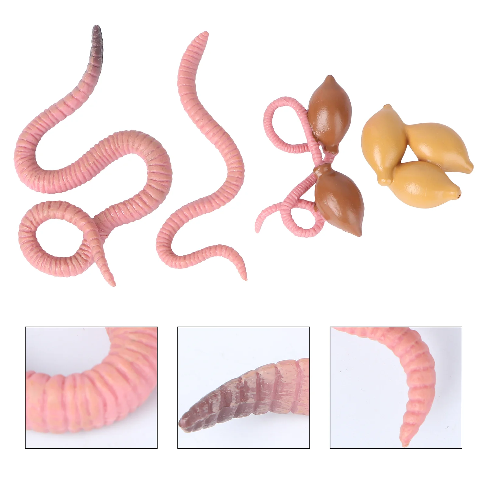 

Growth Cycle Model Earthworms Figurine Crafts Training Aid Kids Cognition Toy Toys