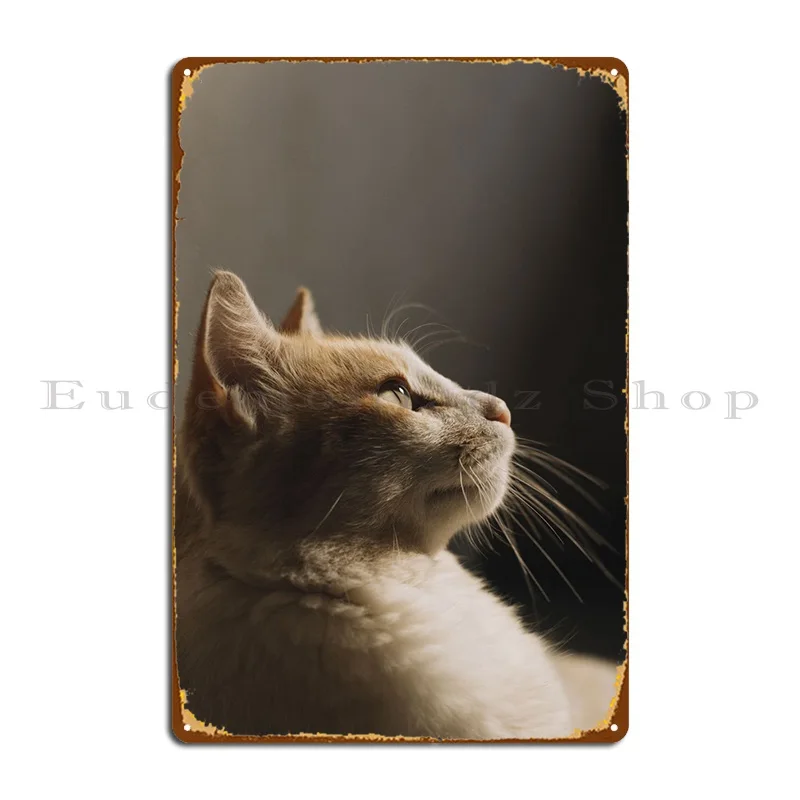 

Металлический плакат кот кошка котенок табличка для гостиной паба кинотеатра индивидуальный фотографический плакат