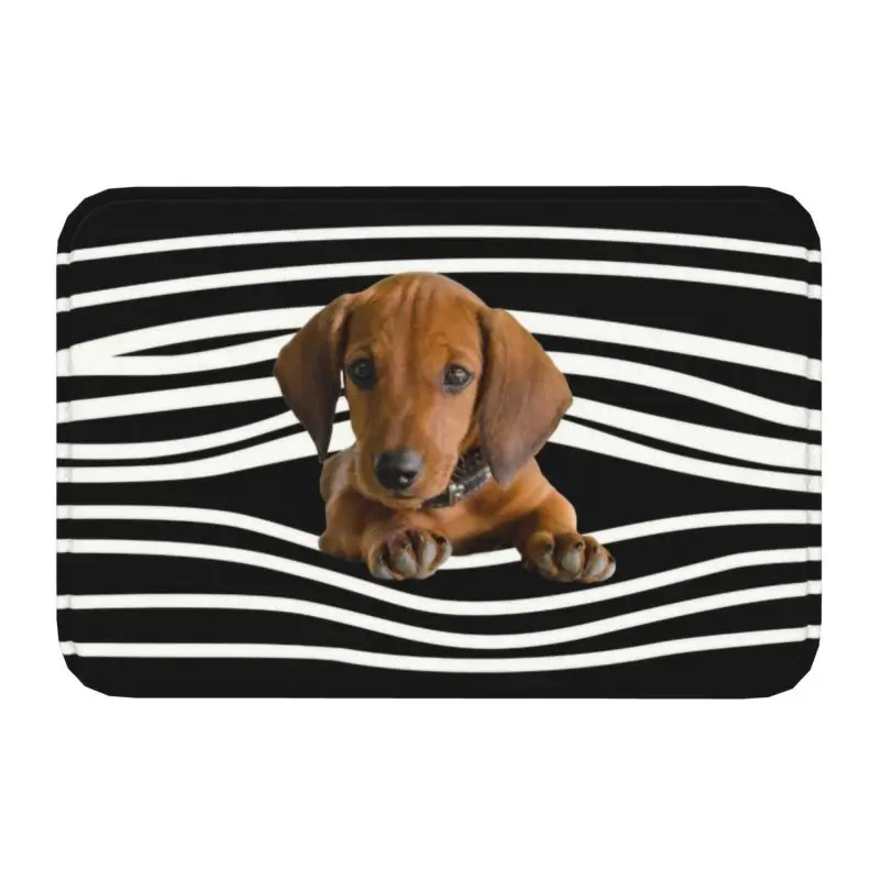 

Dachshund Stripes Front Door Mat Anti-Slip Waterproof Weiner Dog Doormat Floor Bath Rug Toilet Living Room Footpad Carpet