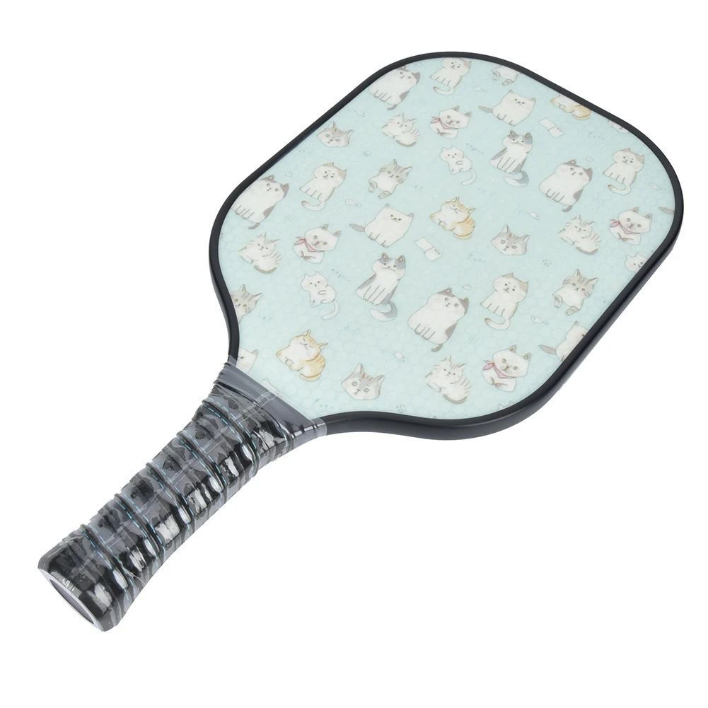 

Portable Fiberglass Pickleball Paddle Roughened Surface Sport Equipment pickleball