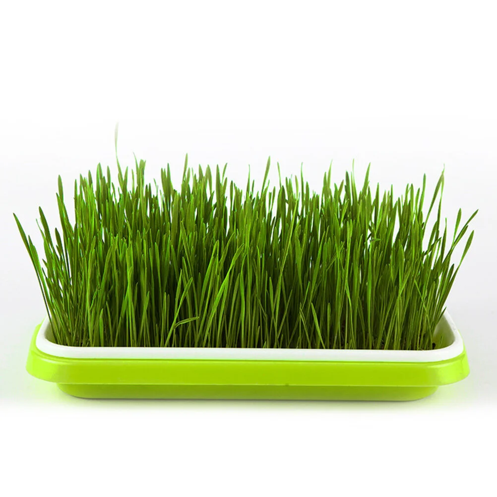 

2 Trays Germination Tray Sprouter Tray Sprouting for Wheatgrass Soybean Mung Hydroponics Nursery Planting
