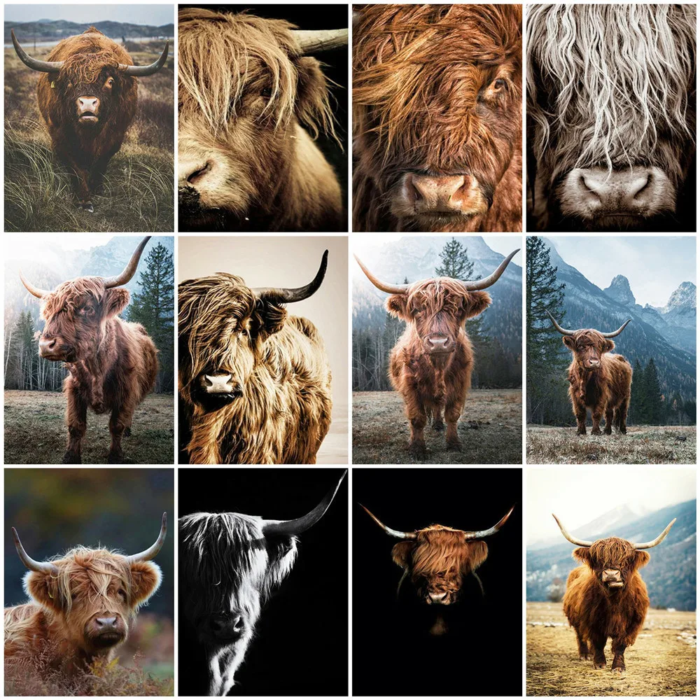 

Huacan Diamond Mosaic 5D Cow Painting Highland Cattle Beads Embroidery Animals Hobby And Needlework Bedroom Decoration