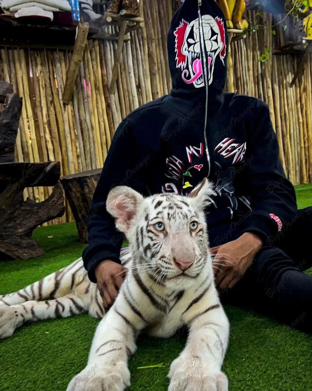 Рисунок 5 - Американская осенне-зимняя Черная