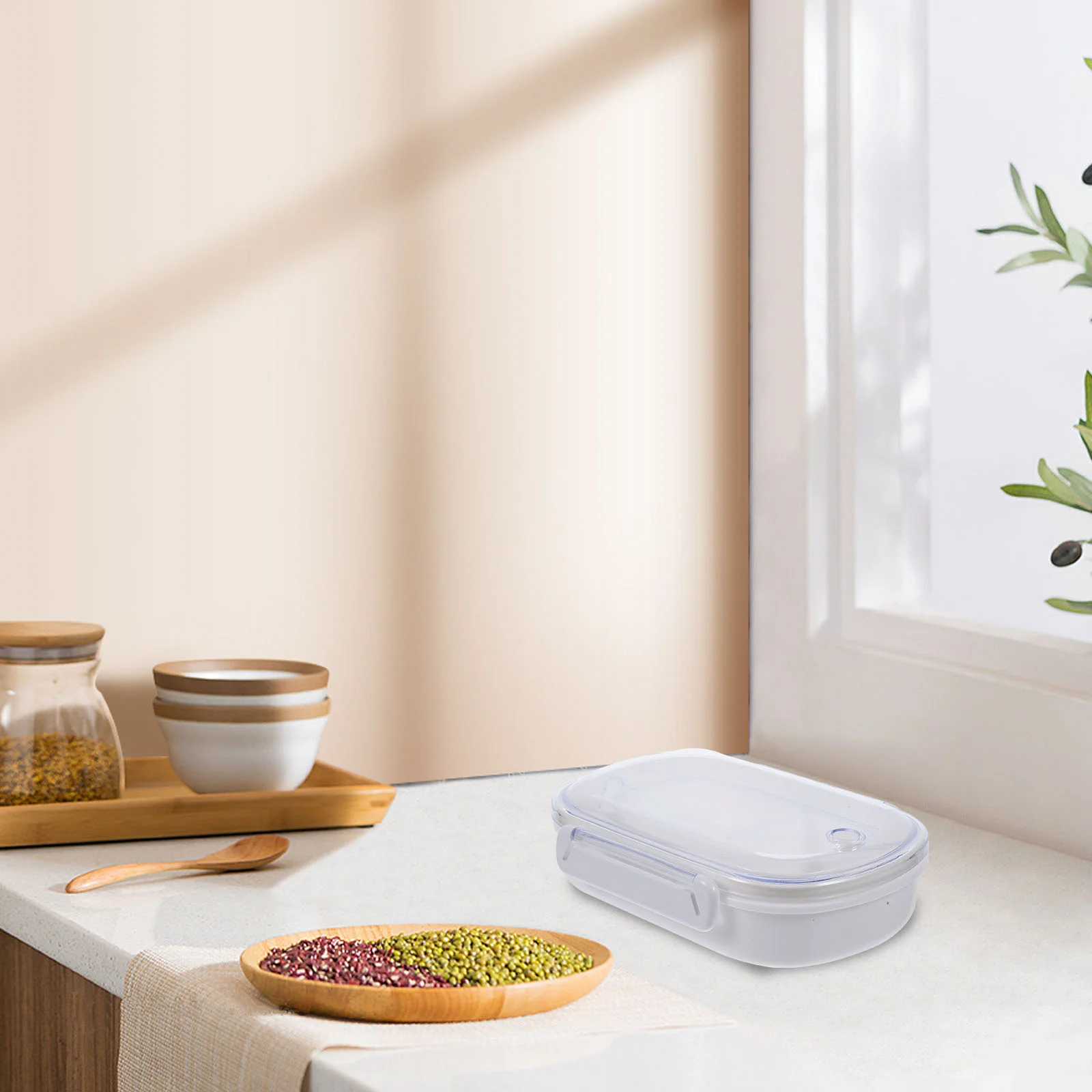 

Divider Bento Lunch Box Food Storage Containers Kids Boxes Go Microwavable School Dedicated Daycare