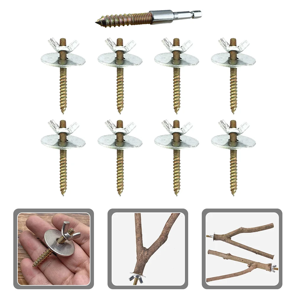 

1 Set of Bird Stand Fixing Screws Bird Cage Perch Screws Bird Perch Fixing Accessories