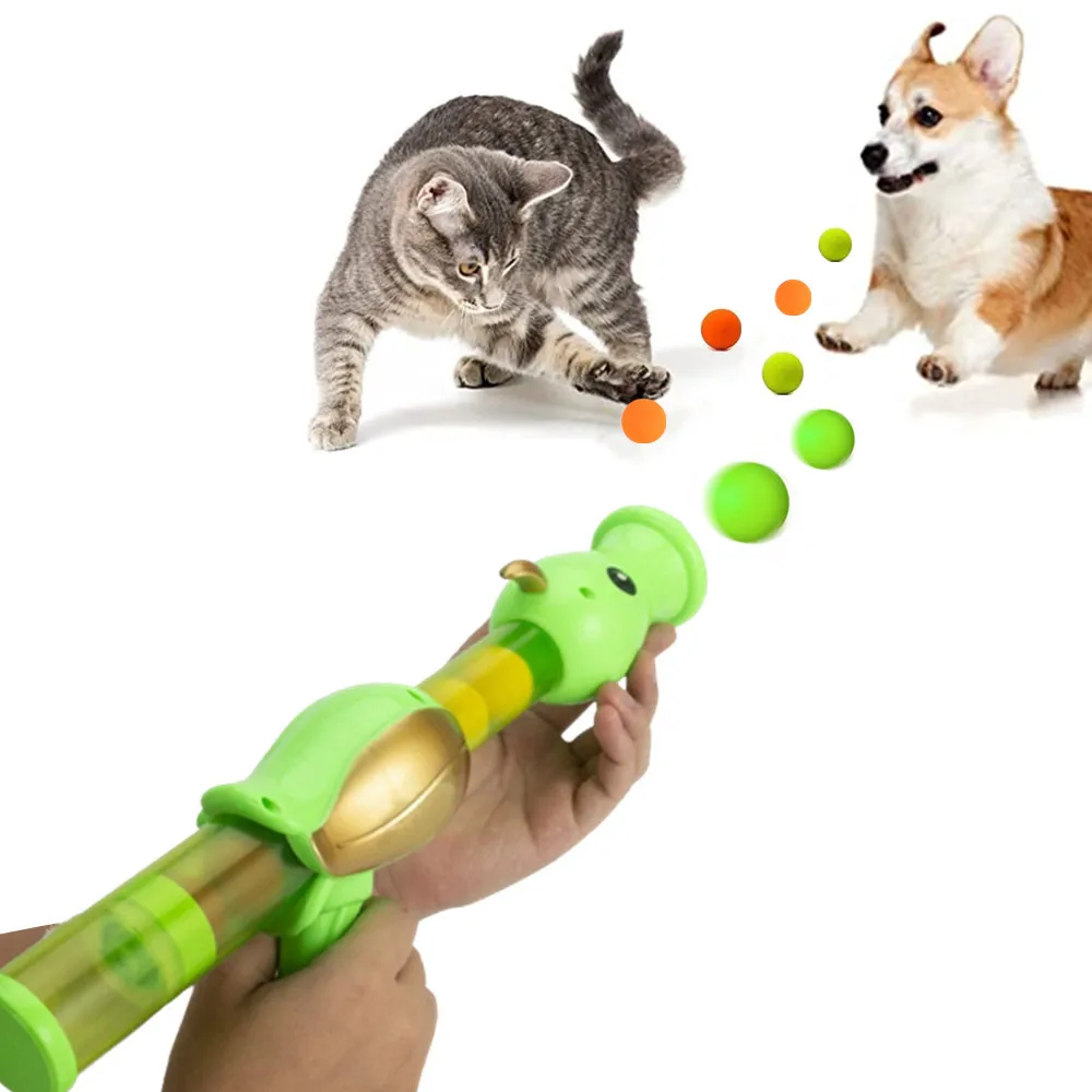 Launch Training Children Pet Gift