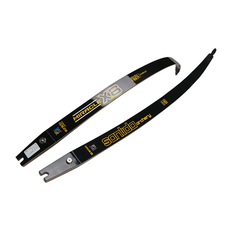

Good Quality Competition Shooting Arrows Hunting Archery Recurve ILF Bow Limbs