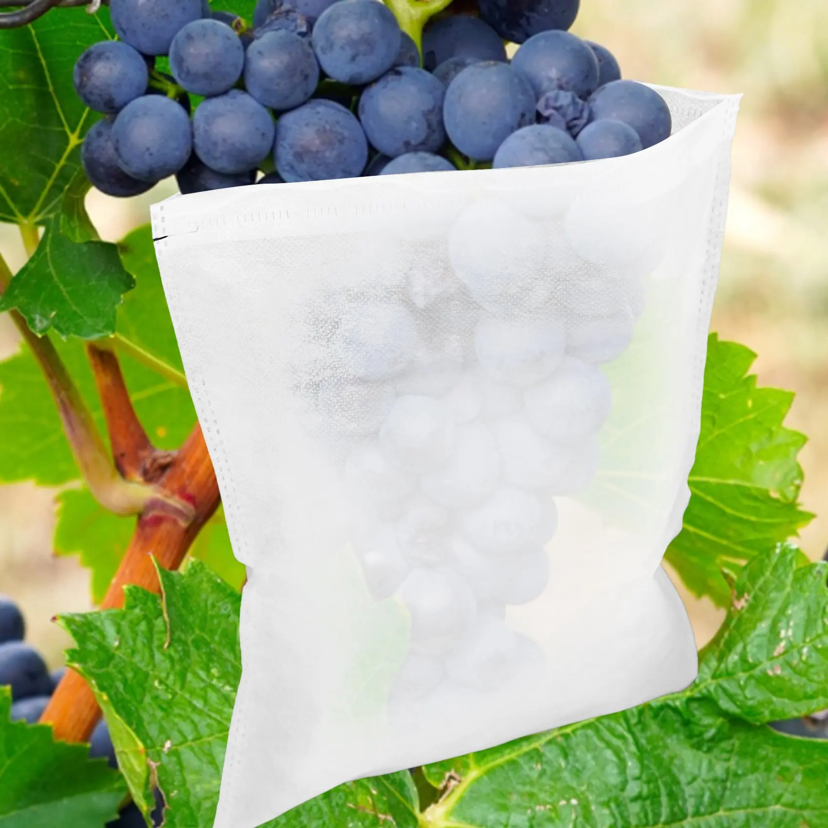 

100Pcs Grape Protection Bags for Fruit Vegetable Grapes Mesh Bag Against Waterproof Insect Seedling Bagging