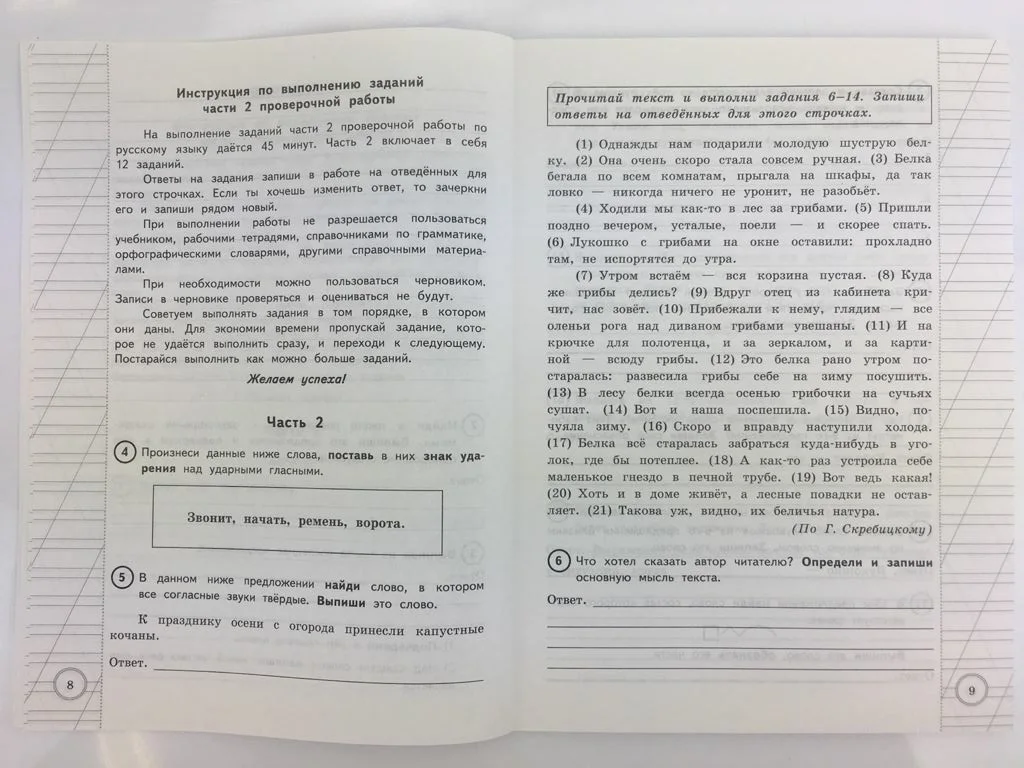 Книга Волкова Е.В. Русский язык. Всероссийская проверочная работа за курс