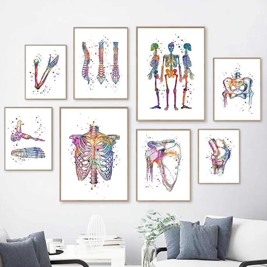 

Anatomy Human Thoracic Spine Pelvis Limbs Skeletal Nordic Poster And Prints Art Canvas Painting Wall Pictures Doctor Room Decor