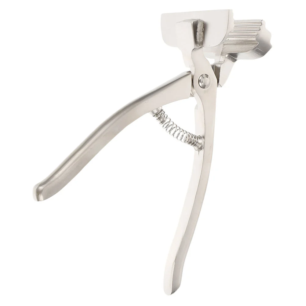 

Clamp Practical Canvas Gripper Metal Pliers Durable Specialty Tools Clip Painting Accessories Stretching Stretcher