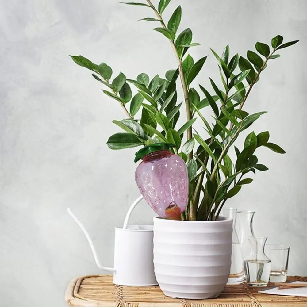 

Пластиковые полезные комнатные и уличные растения, капельница для полива растений, прозрачный суккулент, поисковик воды, вместительные товары для дома