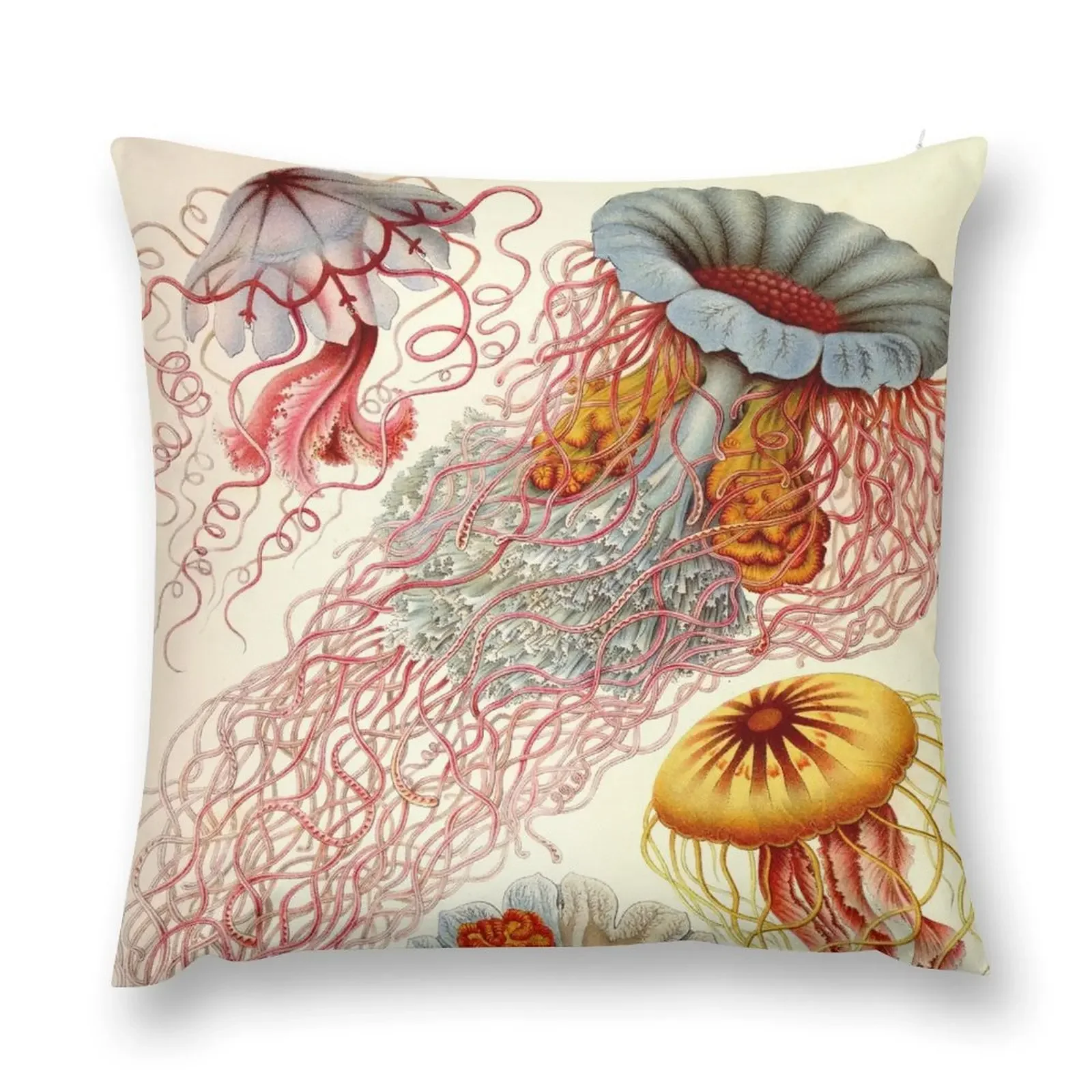 Медуза-е Ernst Haeckel декоративная подушка декоративные подушки для гостиной
