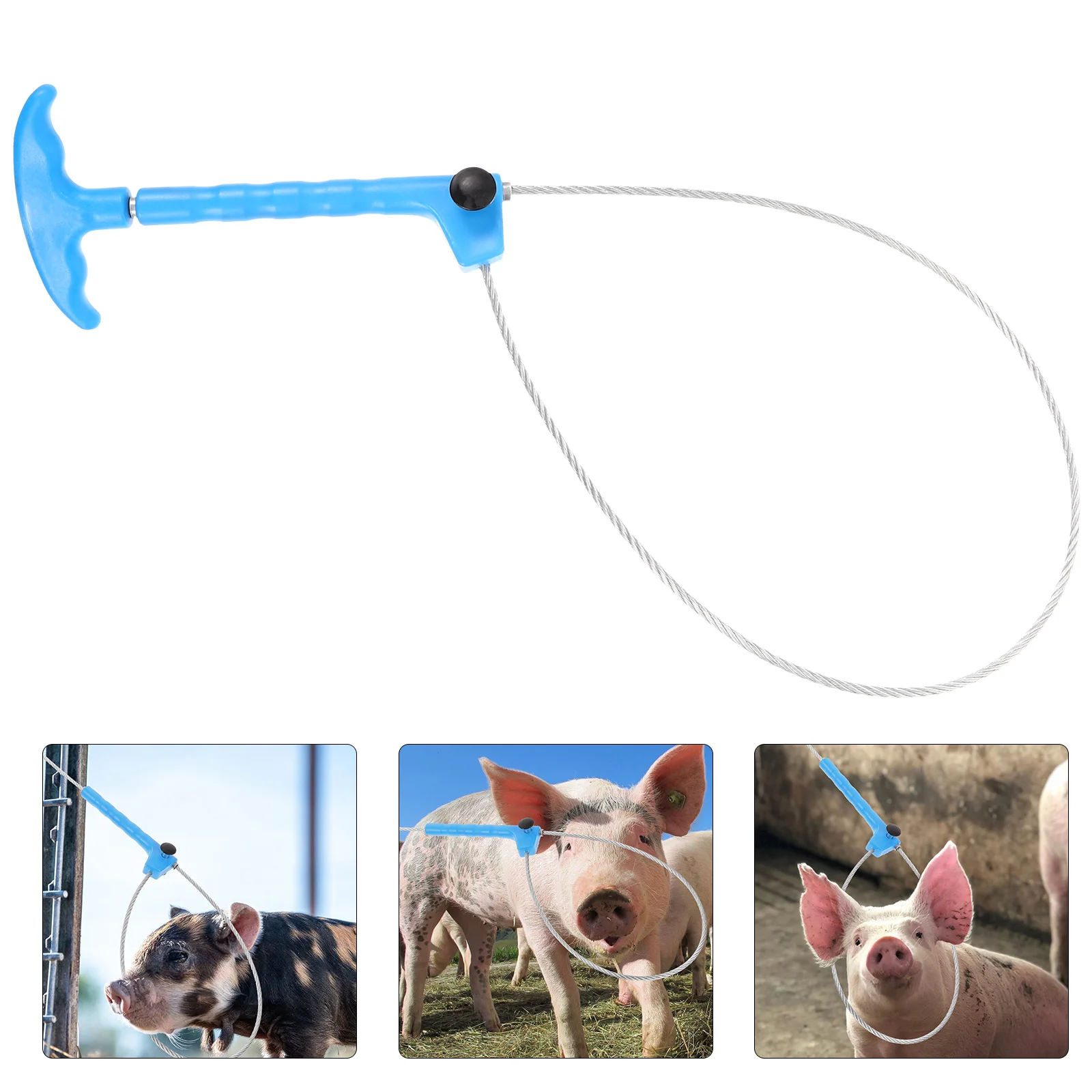 

Convenient Catch Pole Farm Catcher Portable Sheep Catcher Catch Supply