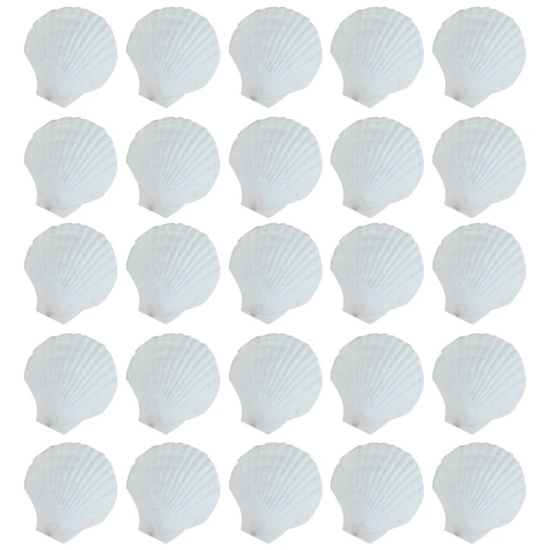 

25Pcs Natural Scallop Shell, Special For Handmade DIY Creative Production Handmade DIY Creative Coloring Shell