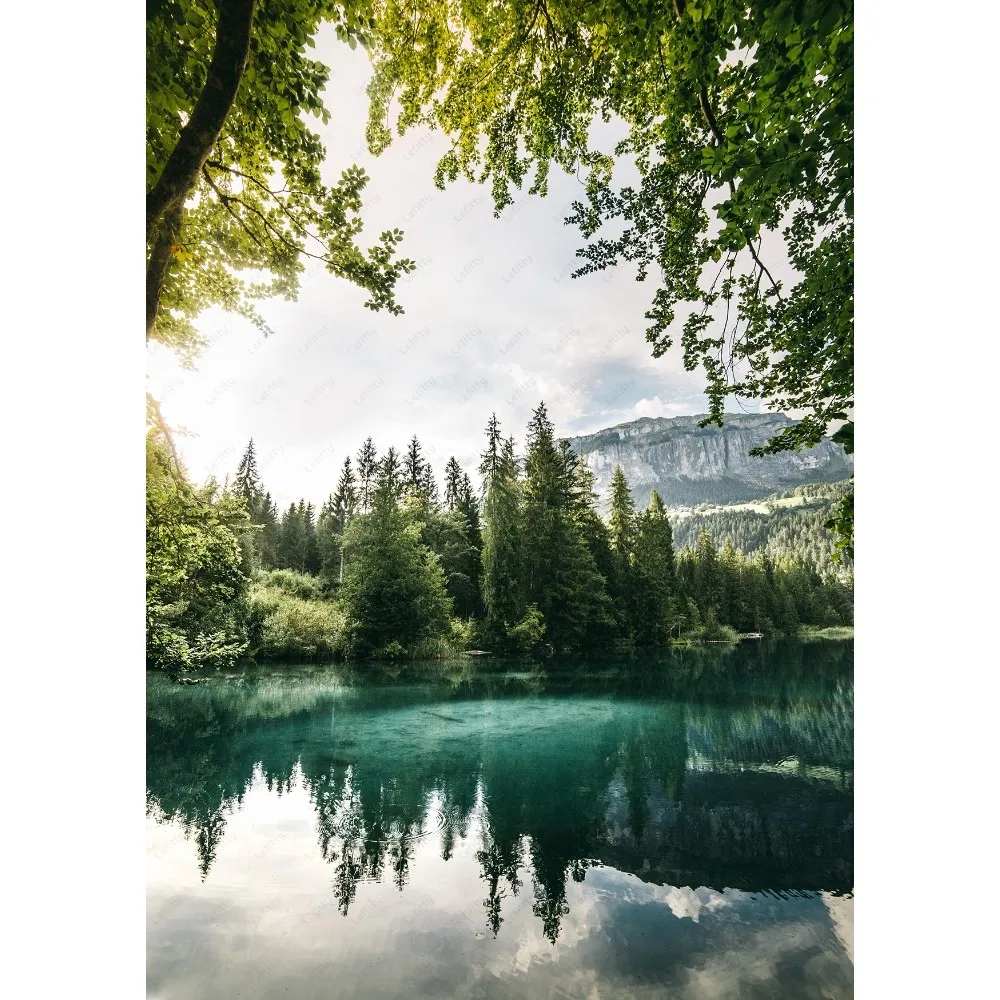 

Водостойкий наклейка-плакат "Лес, туман, горы"