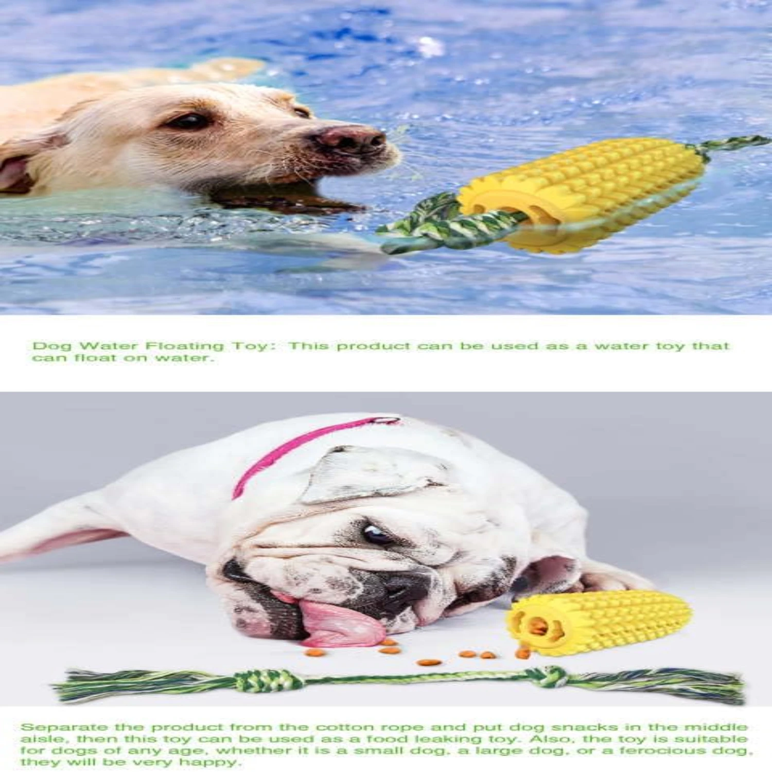 Роскошные закуски для гурманов от Fe-оцените ваши вкусные бутоны с нашими