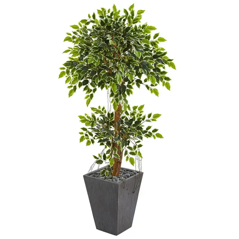 

Variegated Ficus Artificial Tree in Slate Planter, Green