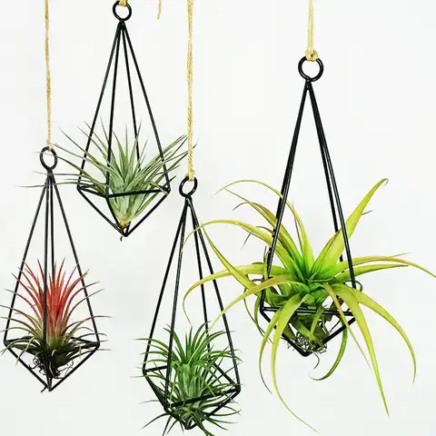Подвесной подвесной держатель для растений для воздуха растения Дисплей с цепями, стене висит геометрический воздуха стойка для растений