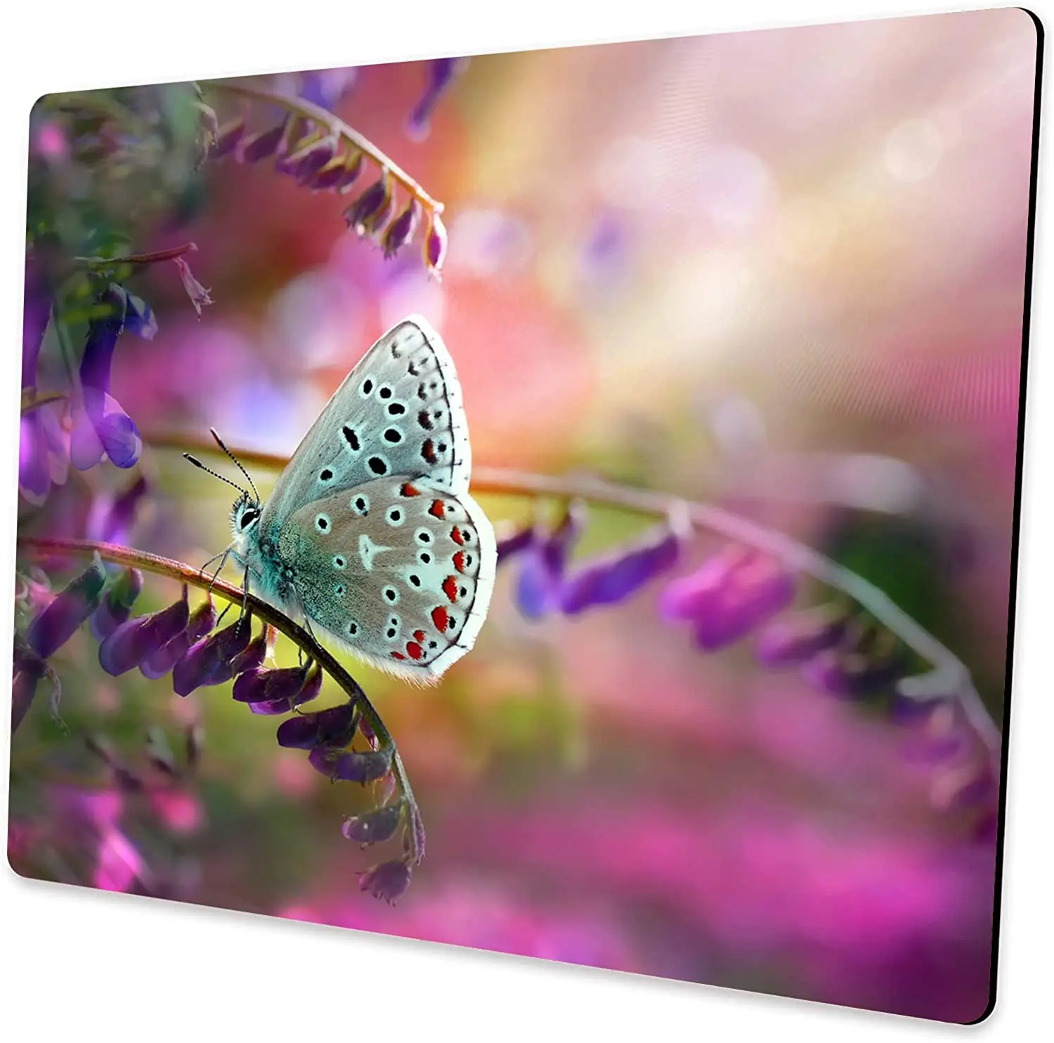 

Colorful Butterfly Mouse Pad Unique Design Anti-Slip Rubber Base Mouse Pad for Desktop Computer and Laptop Mouse Pad 9.5X7.9Inch