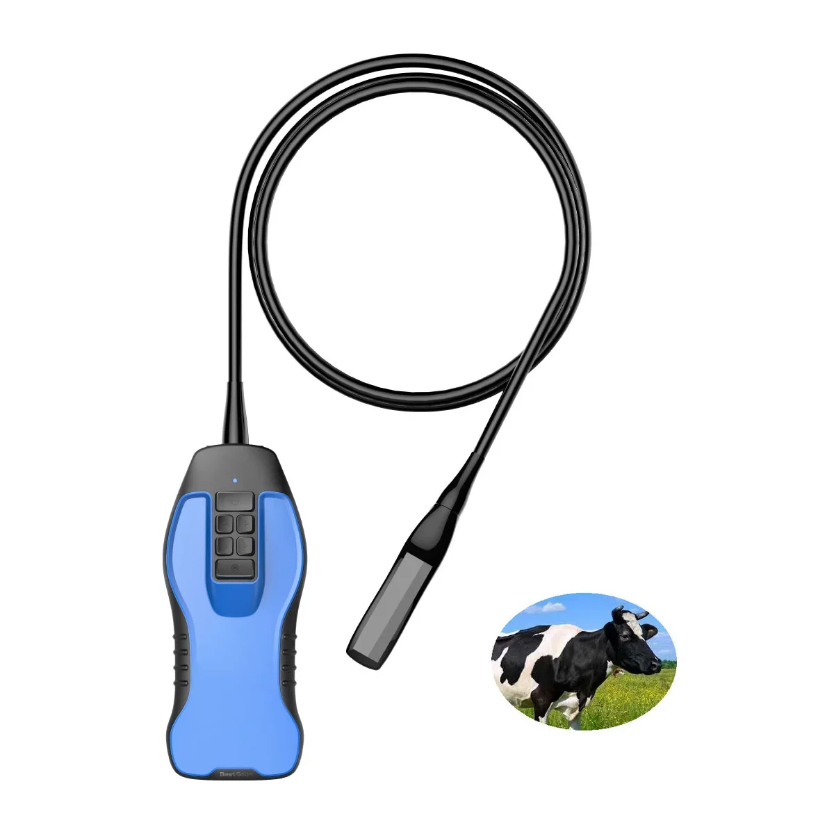 Беспроводной портативный ультразвуковой/ветеринарный ректольный